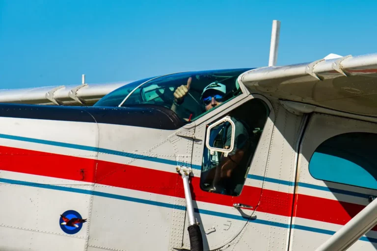 Signe du pilote pour vous souhaitez la bonne année ! Signe du pilote pour vous souhaitez la bonne année !